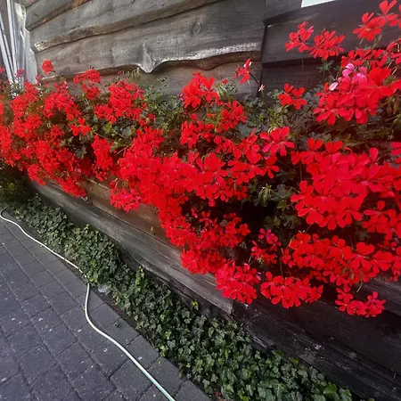 別荘 Szeregowe Klif ポビエロボ