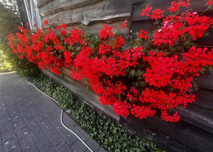 Prázdninový dům Szeregowe Klif Pobierowo